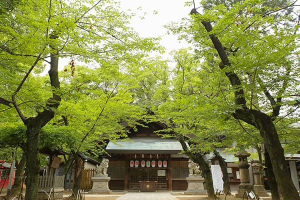 サムネイル画像