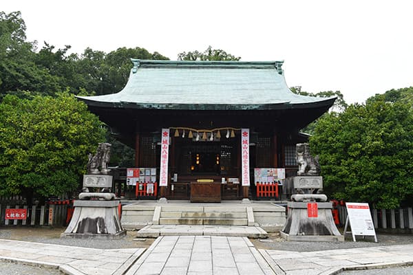 サムネイル画像