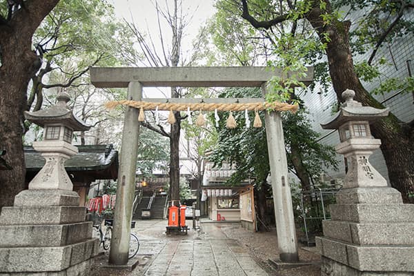 サムネイル画像